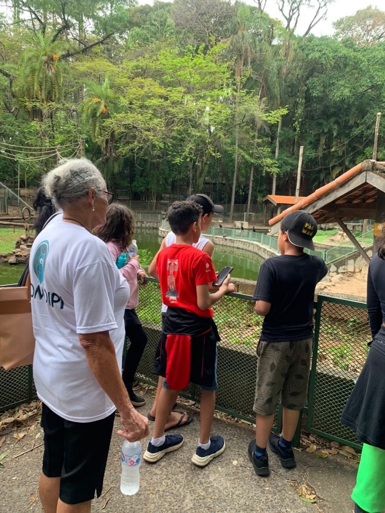 Passeio Ao Bosque Dos Jequitib S Projeto Acalanto C Ritas